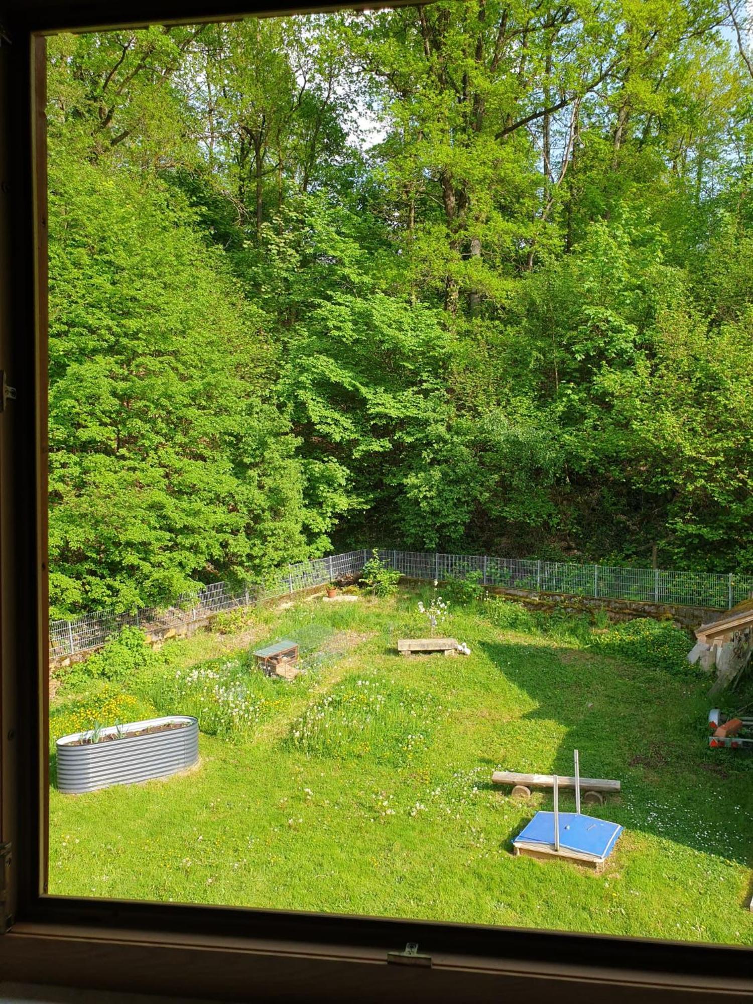 Ferienwohnung Und Sommerhaus Unter Der Burg Falkenberg  Luaran gambar