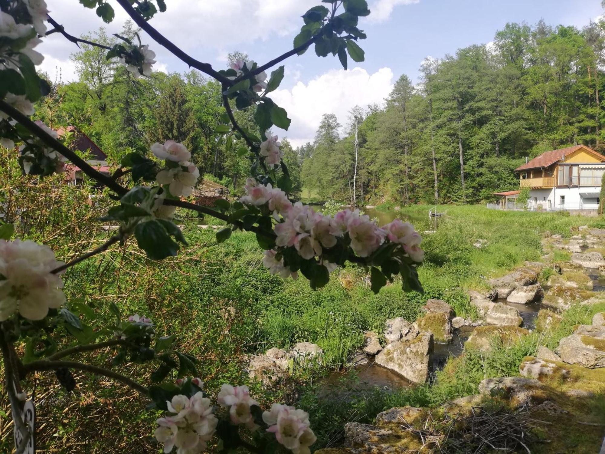 Ferienwohnung Und Sommerhaus Unter Der Burg Falkenberg  Luaran gambar